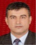 H. Mehmet Tok